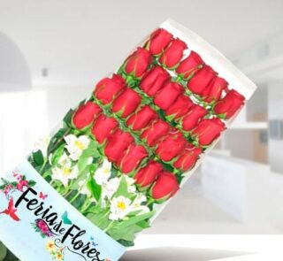 Caja transparente con 24 rosas rojas en vertical y flores blancas al frente sobre fondo interior desenfocado