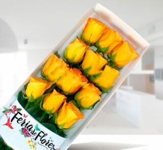 Caja rectangular blanca con doce rosas amarillas en botón sobre fondo interior desenfocado