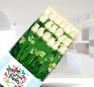 Caja transparente con 18 rosas blancas y follaje verde de Feria de Flores