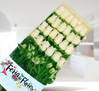 Caja de 24 rosas blancas con follaje verde y envoltura de Feria de Flores sobre fondo interior desenfocado