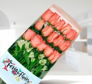 Caja transparente con 18 rosas rosadas alineadas y flores blancas verdes al frente sobre fondo interior desenfocado