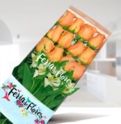 Caja transparente con 12 rosas color salmón y follaje verde de floristería Feria de Flores sobre fondo interior desenfocado