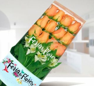 Caja transparente con 12 rosas color salmón y follaje verde de floristería Feria de Flores sobre fondo interior desenfocado