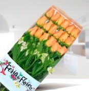 Caja de 18 rosas salmón frescas con follaje verde en envoltura transparente