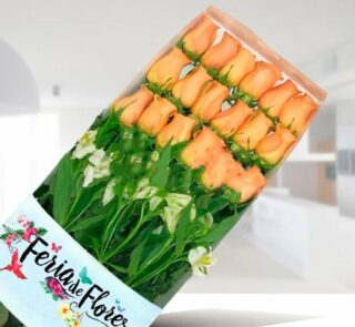 Caja de 18 rosas salmón frescas con follaje verde en envoltura transparente