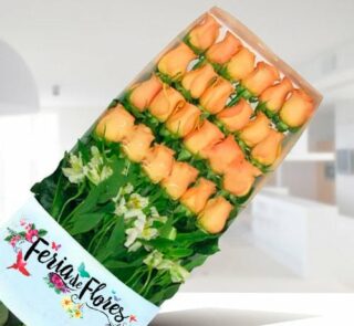 Caja transparente con 24 rosas color salmón ordenadas en filas sobre fondo interior desenfocado