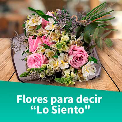 lo siento
