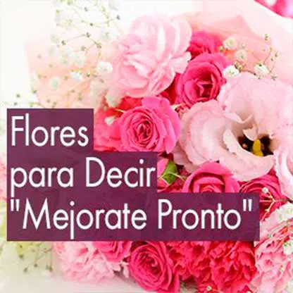 recuperate pronto