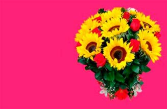 banner girasoles2