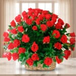 Canasta de mimbre sobre mesa de mármol con gran ramo de rosas rojas y follaje verde frente a ventana