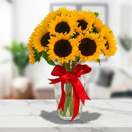 Ramo de girasoles en florero de cristal con lazo rojo Arreglo de girasoles amarillos en un florero de cristal transparente decorado con un lazo rojo sobre una mesa de mármol