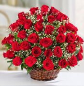 Ramo grande de rosas rojas frescas con paniculata blanca en una canasta de mimbre sobre superficie blanca