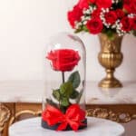 Rosa roja con hojas verdes dentro de una cúpula de cristal con base negra y lazo rojo, sobre mesa de mármol blanco, con ramo de rosas rojas al fondo en jarrón dorado