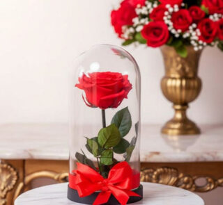 Rosa roja con hojas verdes dentro de una cúpula de cristal con base negra y lazo rojo, sobre mesa de mármol blanco, con ramo de rosas rojas al fondo en jarrón dorado