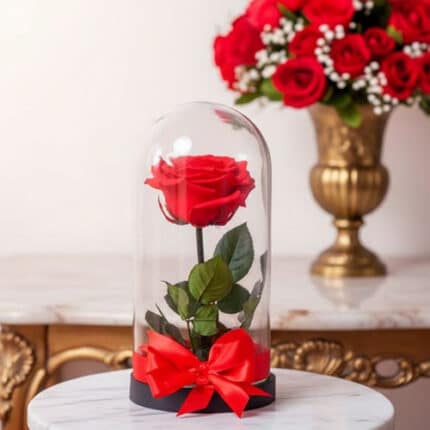 Rosa roja con hojas verdes dentro de una cúpula de cristal con base negra y lazo rojo, sobre mesa de mármol blanco, con ramo de rosas rojas al fondo en jarrón dorado
