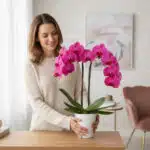 Mujer joven con suéter beige sosteniendo una orquídea phalaenopsis de flores rosas en una maceta blanca sobre una mesa de madera en un salón luminoso