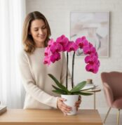 Mujer joven con suéter beige sosteniendo una orquídea phalaenopsis de flores rosas en una maceta blanca sobre una mesa de madera en un salón luminoso