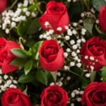 Primer plano extremo de un Arreglo Floral Amor Gigante con rosas rojas frescas, gotas de rocío sutiles y follaje verde, desta