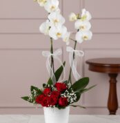 Arreglo floral BRIANA con orquídeas blancas y rosas rojas, ideal para expresar amor y pasión en cualquier ocasión especial.