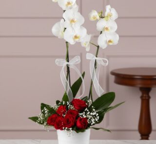 Arreglo floral BRIANA con orquídeas blancas y rosas rojas, ideal para expresar amor y pasión en cualquier ocasión especial.