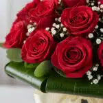 Primer plano extremo de un arreglo floral DOMENICA con 30 rosas rojas vibrantes, gotas de rocío sutiles y follaje verde, dest