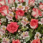 Primer plano extremo del Arreglo Floral EMILIA con 32 rosas blush frescas, alstroemerias y gypsophila, mostrando textura hipe