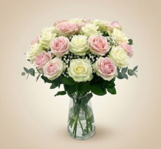 Arreglo floral Evelin con 22 rosas frescas en tonos blancos y rosados, complementado con follaje verde y gypsophila, presenta