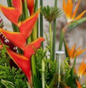 Primer plano extremo de las flores Heliconia y Ave del Paraíso del Arreglo Floral Exótico Apolo, con gotas de rocío y textura