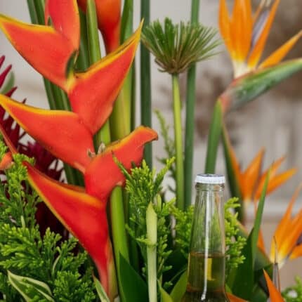 Primer plano extremo de las flores Heliconia y Ave del Paraíso del Arreglo Floral Exótico Apolo, con gotas de rocío y textura