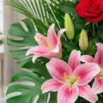 Primer plano extremo de un arreglo floral exótico con lirios rosas vibrantes, capullos de lirio, una rosa roja y hojas de mon