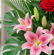 Primer plano extremo de un arreglo floral exótico con lirios rosas vibrantes, capullos de lirio, una rosa roja y hojas de mon