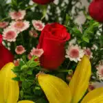 Primer plano extremo de un arreglo floral Capella con una rosa roja central, lirios amarillos y pequeñas margaritas, mostrand