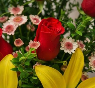 Primer plano extremo de un arreglo floral Capella con una rosa roja central, lirios amarillos y pequeñas margaritas, mostrand