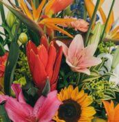 Primer plano extremo de un arreglo floral con lirios rosados, girasoles, aves del paraíso y flores rojas, mostrando texturas