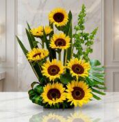 Arreglo floral exótico y grande con girasoles Bengala de pétalos amarillos intensos y centros oscuros, hojas verdes exuberant