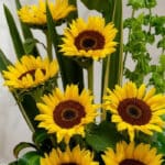 Primer plano extremo de un arreglo floral con girasoles Bengala, mostrando texturas hiperrealistas, gotas de rocío sutiles y