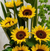 Primer plano extremo de un arreglo floral con girasoles Bengala, mostrando texturas hiperrealistas, gotas de rocío sutiles y