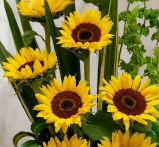 Primer plano extremo de un arreglo floral con girasoles Bengala, mostrando texturas hiperrealistas, gotas de rocío sutiles y