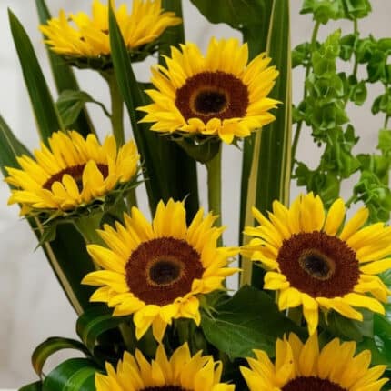 Primer plano extremo de un arreglo floral con girasoles Bengala, mostrando texturas hiperrealistas, gotas de rocío sutiles y