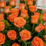 Primer plano extremo de un arreglo floral 'Más Rosas' con rosas naranjas vibrantes, textura hiperrealista y sutiles gotas de