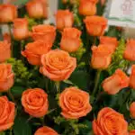 Primer plano extremo de un arreglo floral 'Más Rosas' con rosas naranjas vibrantes, textura hiperrealista y sutiles gotas de