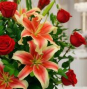 Primer plano extremo de un arreglo floral 'Me Encantas' con lirios bicolores y rosas rojas, mostrando texturas hiperrealistas