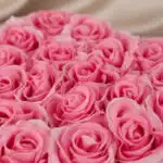 Primer plano extremo de un arreglo floral de rosas rosadas en forma de corazón, con gotas de rocío sutiles y textura hiperrea