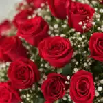 Primer plano extremo de un arreglo floral 'Quiero Amarte' con rosas rojas vibrantes, gotas de rocío sutiles y follaje blanco,