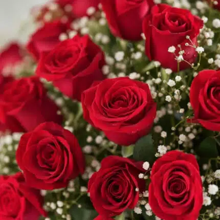 Primer plano extremo de un arreglo floral 'Quiero Amarte' con rosas rojas vibrantes, gotas de rocío sutiles y follaje blanco,