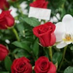 Primer plano extremo de un arreglo floral con rosas rojas Cupido y una orquídea blanca, mostrando texturas hiperrealistas y g