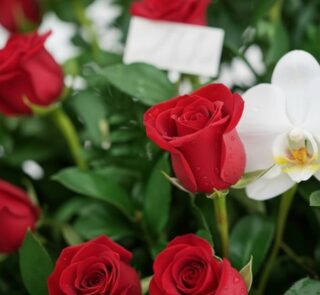 Primer plano extremo de un arreglo floral con rosas rojas Cupido y una orquídea blanca, mostrando texturas hiperrealistas y g