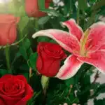 Primer plano extremo de un arreglo floral 'Te Amo' con rosas rojas vibrantes y lirios rosados, mostrando texturas hiperrealis