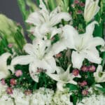 Primer plano extremo de lirios blancos frescos con sutiles gotas de rocío, rodeados de pequeñas flores moradas y follaje verd