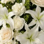 Primer plano extremo de un arreglo fúnebre perpetuo con lirios blancos, rosas pálidas y claveles, cubiertos de sutiles gotas